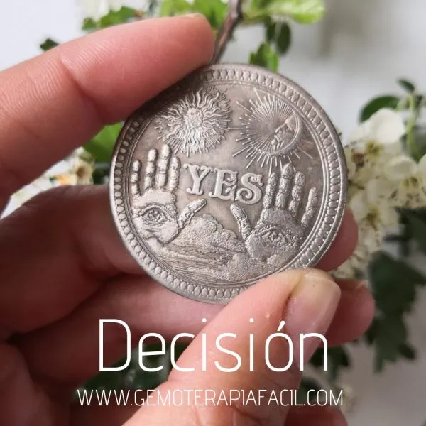 Moneda de Decisión si / no